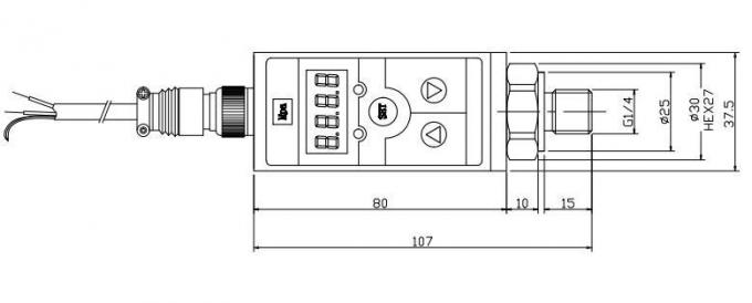 Przełącznik ciśnieniowy z regulatorem 2-4 punktowym i elektronicznym przełącznikiem ciśnieniowym 4-20mA 4